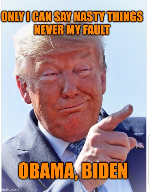 Trump pointing | ONLY I CAN SAY NASTY THINGS 
NEVER MY FAULT OBAMA, BIDEN | image tagged in trump pointing | made w/ Imgflip meme maker