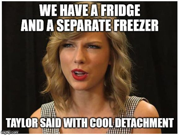 Taylor speaks | image tagged in taylor swift,freezer,fridge,cool detachment,oh wow are you actually reading these tags | made w/ Imgflip meme maker