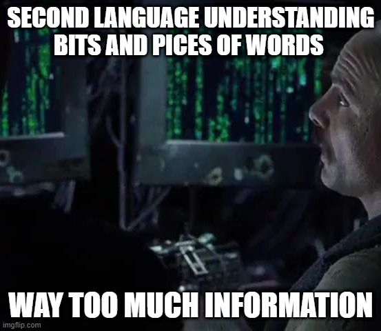 second language | SECOND LANGUAGE UNDERSTANDING BITS AND PICES OF WORDS; WAY TOO MUCH INFORMATION | image tagged in all i see anymore | made w/ Imgflip meme maker