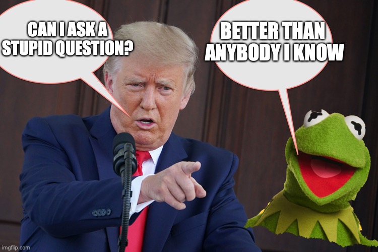 Trump stupid questions | BETTER THAN 
ANYBODY I KNOW; CAN I ASK A
STUPID QUESTION? | image tagged in donald trump,stupid,republcans,maga,conservatives,right wing | made w/ Imgflip meme maker