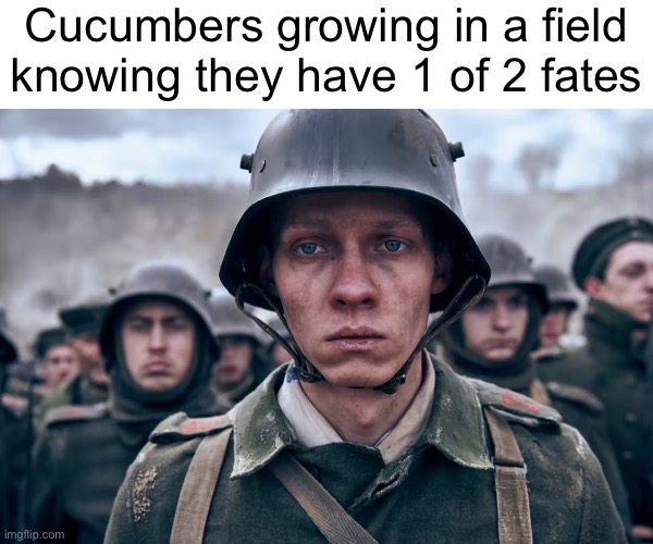 Depressed soldier | Cucumbers growing in a field knowing they have 1 of 2 fates | image tagged in depressed soldier | made w/ Imgflip meme maker
