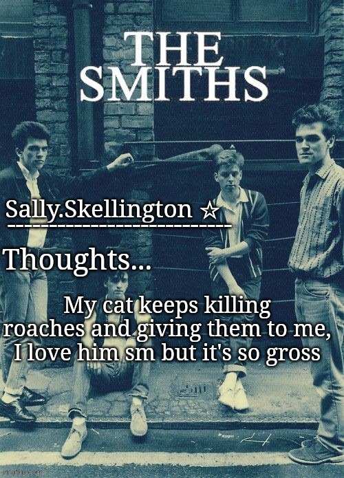 Sally's temp | My cat keeps killing roaches and giving them to me, I love him sm but it's so gross | image tagged in sally's temp | made w/ Imgflip meme maker