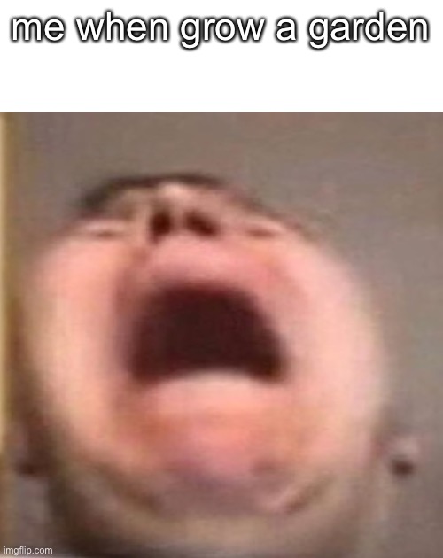 live reaction | me when grow a garden | image tagged in live reaction,funny | made w/ Imgflip meme maker