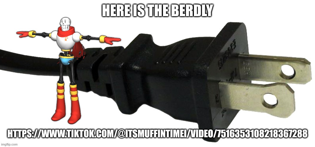 plug | HERE IS THE BERDLY; HTTPS://WWW.TIKTOK.COM/@ITSMUFFINTIMEI/VIDEO/7516353108218367288 | image tagged in plug | made w/ Imgflip meme maker