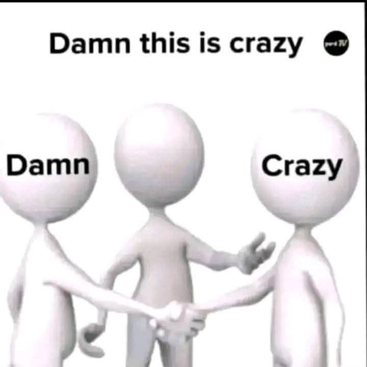 Damn this is crazy Blank Meme Template