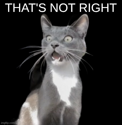 Speechless Cat | THAT'S NOT RIGHT | image tagged in speechless cat | made w/ Imgflip meme maker