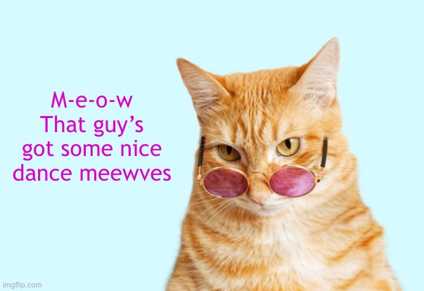 M-e-o-w
That guy’s got some nice dance meewves | made w/ Imgflip meme maker