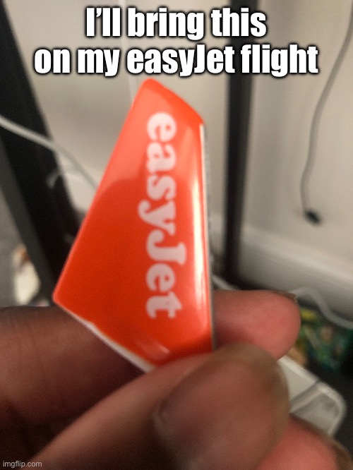 Okay that Amelia is the flight attendant lol | I’ll bring this on my easyJet flight | made w/ Imgflip meme maker