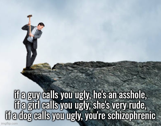 ok | if a guy calls you ugly, he's an asshole, if a girl calls you ugly, she's very rude,
if a dog calls you ugly, you're schizophrenic | image tagged in man breaking cliff | made w/ Imgflip meme maker