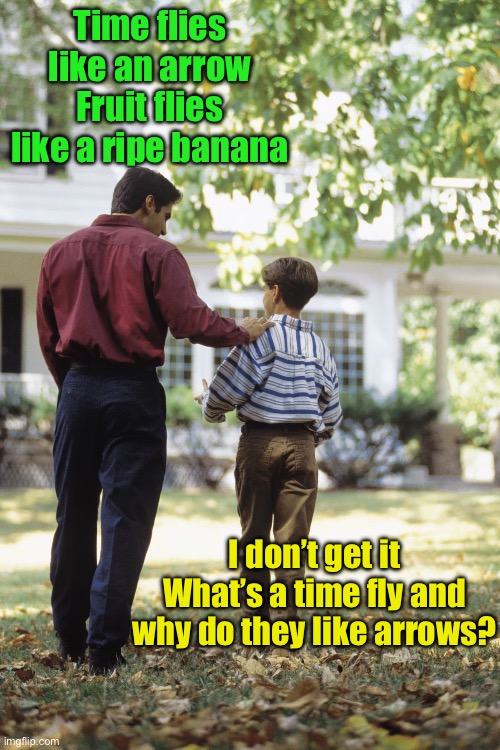 Dad joke failure | Time flies like an arrow
Fruit flies like a ripe banana; I don’t get it
What’s a time fly and why do they like arrows? | image tagged in dad and son,dad joke | made w/ Imgflip meme maker