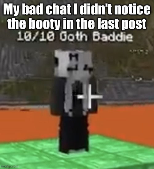 Goon material | My bad chat I didn’t notice the booty in the last post | image tagged in goon material | made w/ Imgflip meme maker