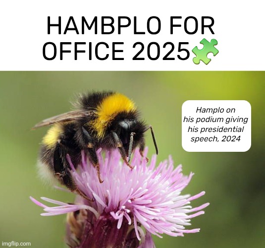 HAMBPLO FOR OFFICE 2025? Hamplo on his podium giving his presidential speech, 2024 | made w/ Imgflip meme maker