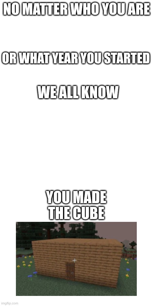 Our first ever build | NO MATTER WHO YOU ARE; OR WHAT YEAR YOU STARTED; WE ALL KNOW; YOU MADE THE CUBE | made w/ Imgflip meme maker