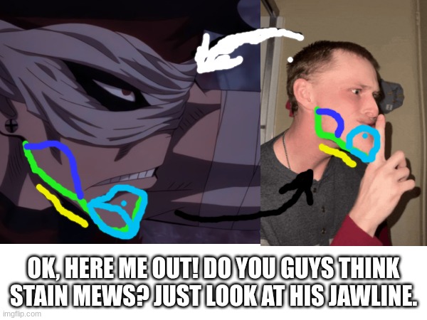 I'm on to something....maybe | OK, HERE ME OUT! DO YOU GUYS THINK STAIN MEWS? JUST LOOK AT HIS JAWLINE. | image tagged in memes,mew,mha | made w/ Imgflip meme maker