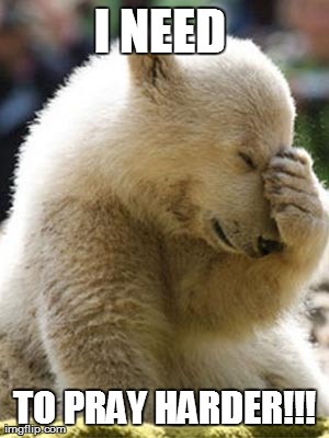 Facepalm Bear | I NEED  TO PRAY HARDER!!! | image tagged in memes,facepalm bear | made w/ Imgflip meme maker