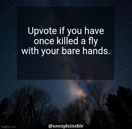 extremely difficult but not completely impossible | Upvote if you have once killed a fly with your bare hands. | image tagged in it's simply unexplainable | made w/ Imgflip meme maker