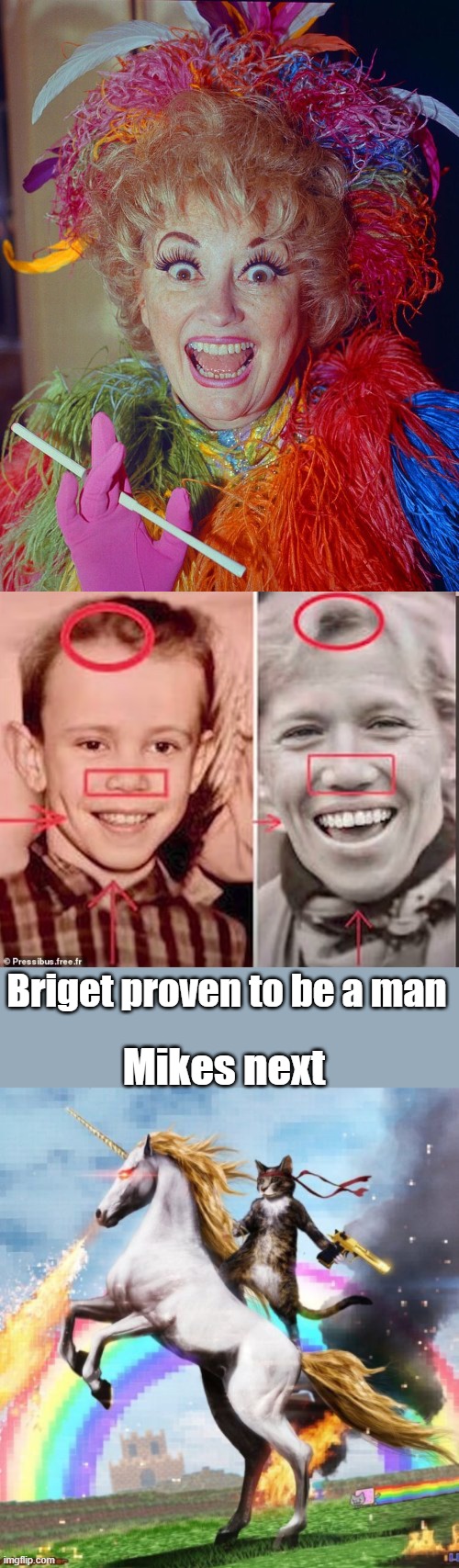 Should have got a nose job and had the dimple filled in, i wonder what a biometric scan would say | Briget proven to be a man; Mikes next | image tagged in memes,welcome to the internets | made w/ Imgflip meme maker