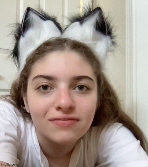 It's me, your local furry :3 | made w/ Imgflip meme maker