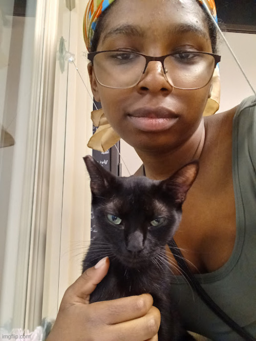 he looks mad here but he was actually purring | made w/ Imgflip meme maker