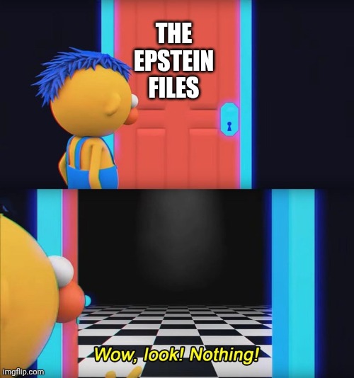 Wow, look! Nothing! | THE EPSTEIN FILES | image tagged in wow look nothing | made w/ Imgflip meme maker