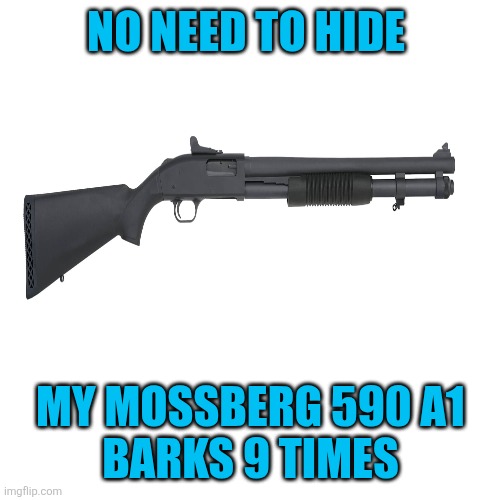 Blank Transparent Square Meme | NO NEED TO HIDE MY MOSSBERG 590 A1
BARKS 9 TIMES | image tagged in memes,blank transparent square | made w/ Imgflip meme maker