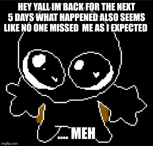 Lol | HEY YALL IM BACK FOR THE NEXT 5 DAYS WHAT HAPPENED ALSO SEEMS LIKE NO ONE MISSED  ME AS I EXPECTED; .... MEH | image tagged in zero goober,sans of topic | made w/ Imgflip meme maker