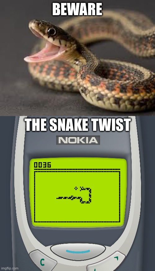 BEWARE; THE SNAKE TWIST | image tagged in warning snake | made w/ Imgflip meme maker