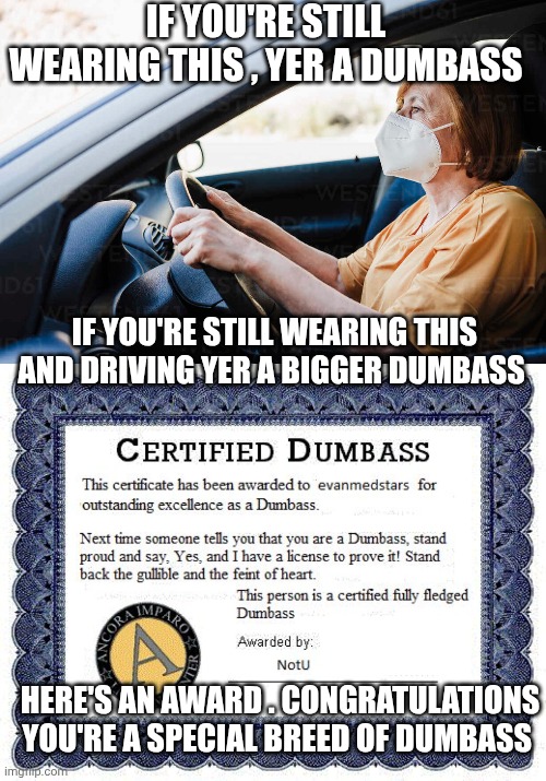 Covid mask memes | IF YOU'RE STILL WEARING THIS , YER A DUMBASS; IF YOU'RE STILL WEARING THIS AND DRIVING YER A BIGGER DUMBASS; HERE'S AN AWARD . CONGRATULATIONS YOU'RE A SPECIAL BREED OF DUMBASS | image tagged in dumbass award | made w/ Imgflip meme maker