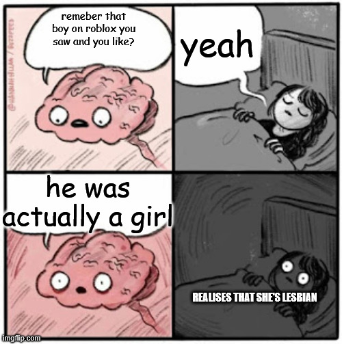 :l | yeah; remeber that boy on roblox you saw and you like? he was actually a girl; REALISES THAT SHE'S LESBIAN | image tagged in brain before sleep | made w/ Imgflip meme maker