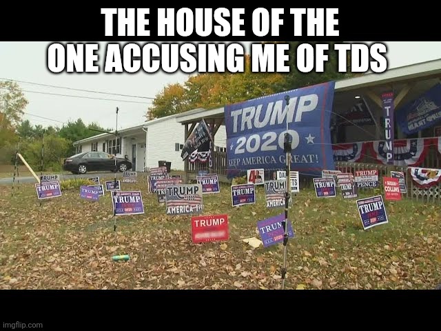 Tds accuser | THE HOUSE OF THE ONE ACCUSING ME OF TDS | image tagged in tds accuser | made w/ Imgflip meme maker