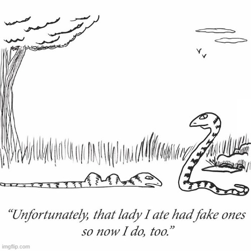 Falsies | image tagged in comics | made w/ Imgflip meme maker