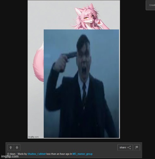 We all can see what you deleted Shadow | made w/ Imgflip meme maker