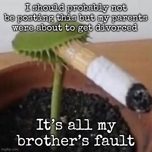 plant weeds | I should probably not be posting this but my parents were about to get divorced; It’s all my brother’s fault | image tagged in plant weeds,msmg | made w/ Imgflip meme maker