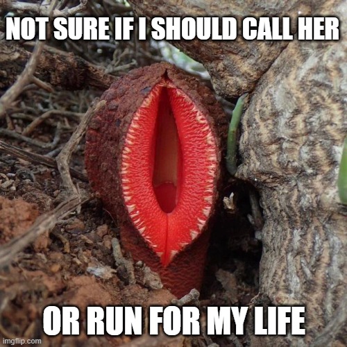 Fleshy Thing | NOT SURE IF I SHOULD CALL HER; OR RUN FOR MY LIFE | image tagged in sex jokes | made w/ Imgflip meme maker