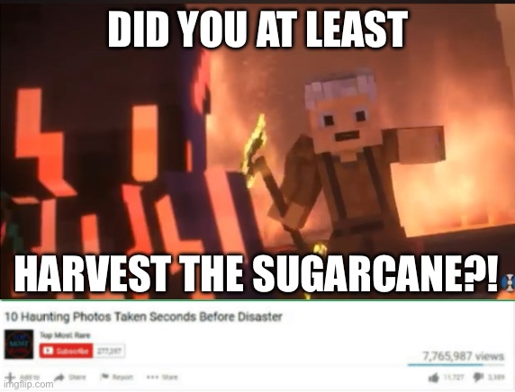 If yk, yk. Mr. Finch Songs of War vs Deathsinger | DID YOU AT LEAST; HARVEST THE SUGARCANE?! | image tagged in ten haunting photos taken before disaster,minecraft,animation,harvest,battle | made w/ Imgflip meme maker