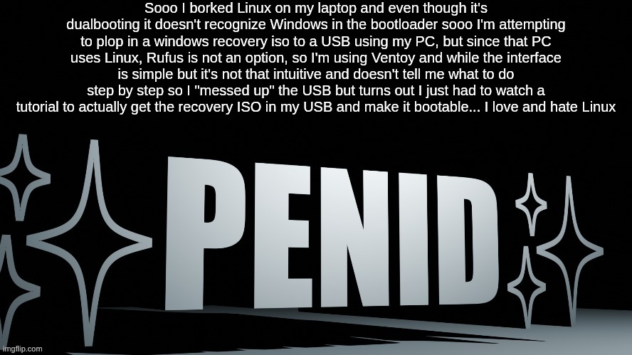 who cares about that wall of text (even if it's true) it's penid time | Sooo I borked Linux on my laptop and even though it's dualbooting it doesn't recognize Windows in the bootloader sooo I'm attempting to plop in a windows recovery iso to a USB using my PC, but since that PC uses Linux, Rufus is not an option, so I'm using Ventoy and while the interface is simple but it's not that intuitive and doesn't tell me what to do step by step so I "messed up" the USB but turns out I just had to watch a tutorial to actually get the recovery ISO in my USB and make it bootable... I love and hate Linux | image tagged in penid | made w/ Imgflip meme maker