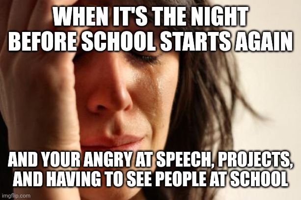 First World Problems | WHEN IT'S THE NIGHT BEFORE SCHOOL STARTS AGAIN; AND YOUR ANGRY AT SPEECH, PROJECTS, AND HAVING TO SEE PEOPLE AT SCHOOL | image tagged in memes,first world problems | made w/ Imgflip meme maker