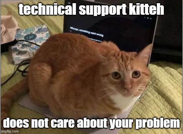 technical support kitteh does not care about your problem | made w/ Imgflip meme maker