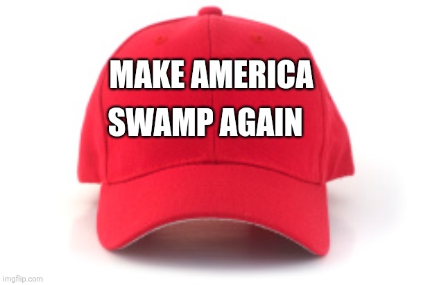 Pam Bondi approves this message | MAKE AMERICA; SWAMP AGAIN | image tagged in red cap | made w/ Imgflip meme maker