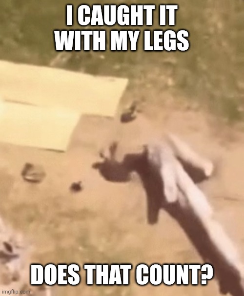 I CAUGHT IT WITH MY LEGS DOES THAT COUNT? | made w/ Imgflip meme maker