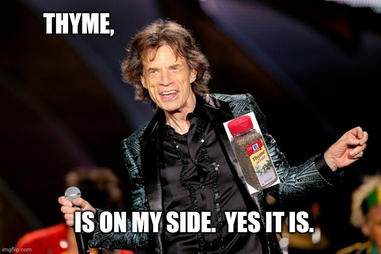 dancing mick jagger | THYME, IS ON MY SIDE.  YES IT IS. | image tagged in dancing mick jagger | made w/ Imgflip meme maker