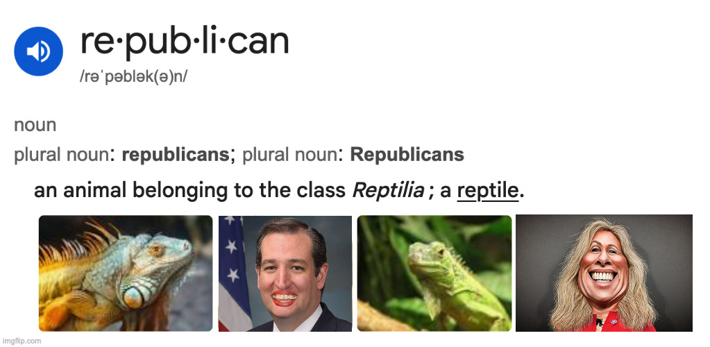 Google definition search | image tagged in memes,republicans | made w/ Imgflip meme maker