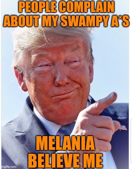 Trump pointing | PEOPLE COMPLAIN ABOUT MY SWAMPY A*S MELANIA 
BELIEVE ME | image tagged in trump pointing | made w/ Imgflip meme maker