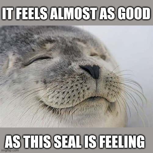 Satisfied Seal Meme | IT FEELS ALMOST AS GOOD AS THIS SEAL IS FEELING | image tagged in memes,satisfied seal | made w/ Imgflip meme maker