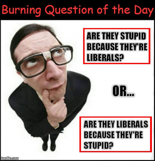 Top 10 questions science still can't answer | Burning Question of the Day | image tagged in liberals,stupid,good question,top 10 questions science still can't answer,liberalism,mental health | made w/ Imgflip meme maker