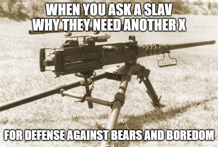 M2 Browning | WHEN YOU ASK A SLAV WHY THEY NEED ANOTHER X; FOR DEFENSE AGAINST BEARS AND BOREDOM | image tagged in m2 browning,slavic lives matter,slm | made w/ Imgflip meme maker