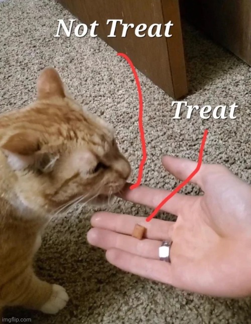 Treat | made w/ Imgflip meme maker