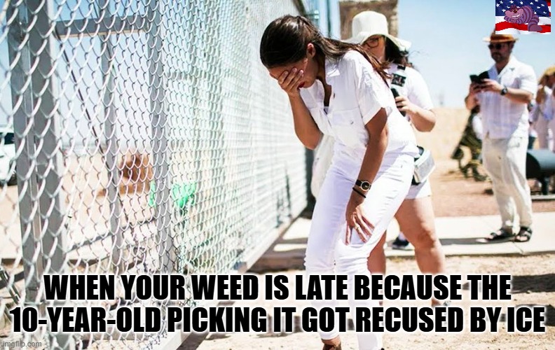WHEN YOUR WEED IS LATE BECAUSE THE 10-YEAR-OLD PICKING IT GOT RECUSED BY ICE | made w/ Imgflip meme maker