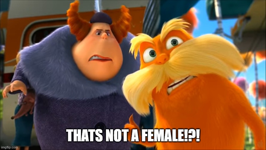 THATS NOT A FEMALE?! | THATS NOT A FEMALE!?! | image tagged in lorax that's a woman | made w/ Imgflip meme maker