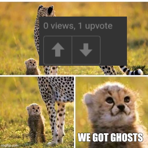 Someone teach me this trick | WE GOT GHOSTS | image tagged in cheetah mom with scared cub,imgflip,upvotes,views,memes | made w/ Imgflip meme maker